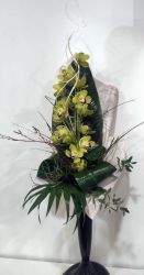 Cymbidium csokor