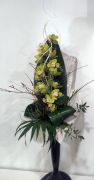 Cymbidium csokor